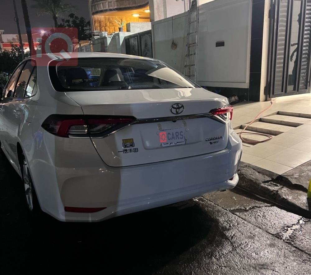 تويوتا كورولا